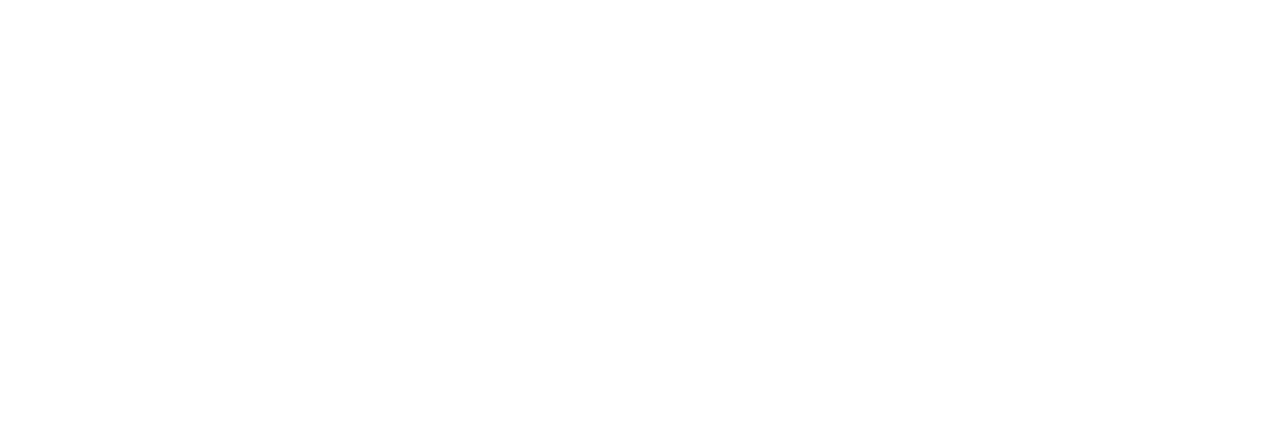 Aradei Capital